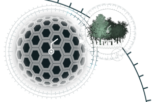 Antares Wheel of Knowledge (WoK)